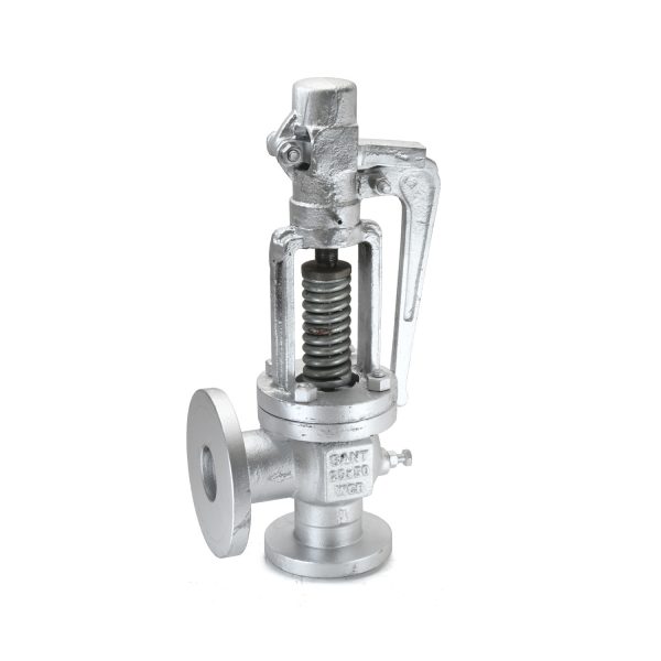 Safety Relief Valve